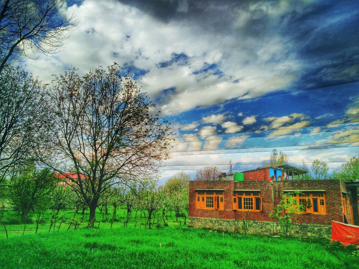 Kashmir: paradise on Earth - a photo essay